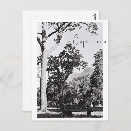 ケープタウンパーク自然マウンテンサウスアフリカZA ポストカード (正面/裏面)