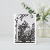 ケープタウンパーク自然マウンテンサウスアフリカZA ポストカード (スタンド正面)