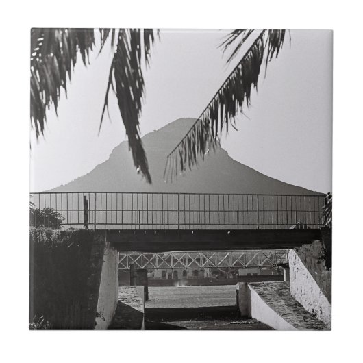 ケープタウンライオンの南アフリカ首座 タイル (正面)