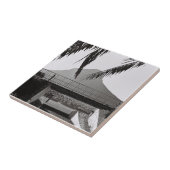 ケープタウンライオンの南アフリカ首座 タイル (側面)