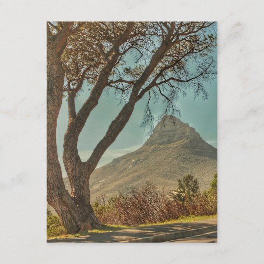 ケープタウンライオンの頭の風景南アフリカ エンクロージャーカード (正面)