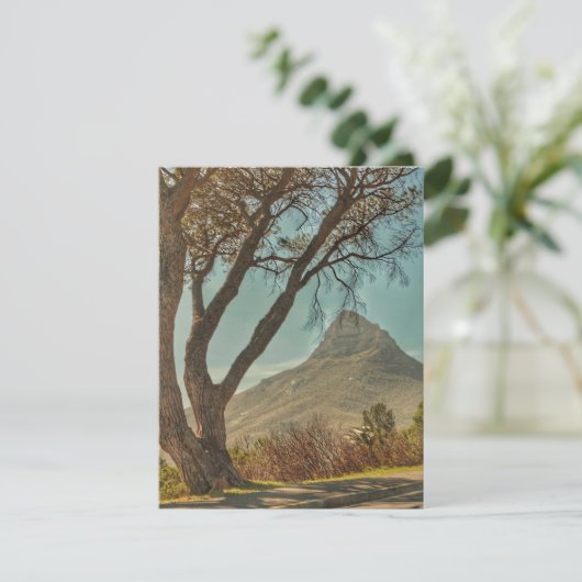 ケープタウンライオンの頭の風景南アフリカ エンクロージャーカード (スタンド正面)