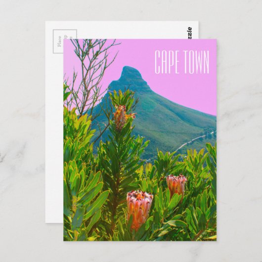 ケープタウン南アフリカプロテアライオンの頭 ポストカード (正面/裏面)