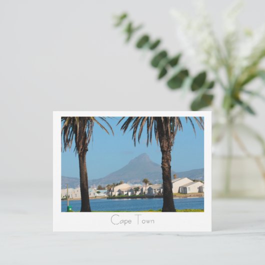 ケープタウン南アフリカ獅子頭ヤシの木 ポストカード (スタンド正面)