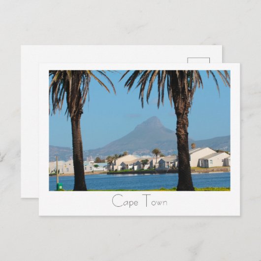 ケープタウン南アフリカ獅子頭ヤシの木 ポストカード (正面/裏面)
