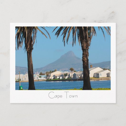 ケープタウン南アフリカ獅子頭ヤシの木 ポストカード (正面)
