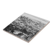 ケープタウン南アフリカ都市景観モノクロ タイル (側面)