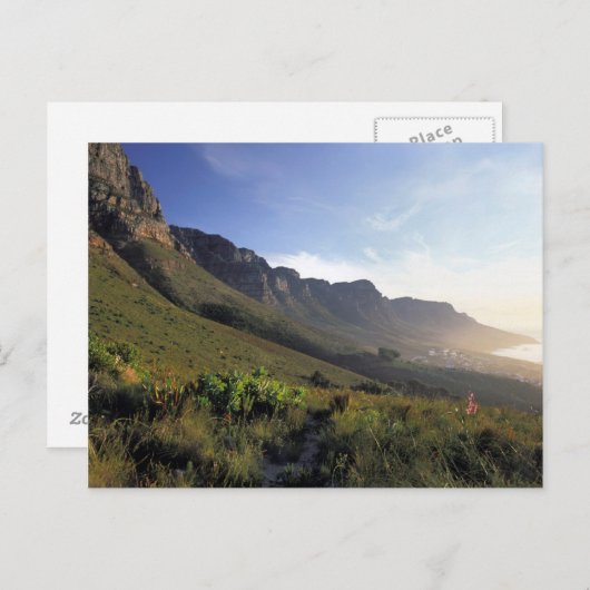 ケープタウン12名の使徒たち ポストカード (正面/裏面)