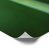 ケープタウン、アガパンツス・プラエコックス、アフリカンリリー ポスター (角)