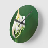 ケープタウン、アガパンツス・プラエコックス、アフリカンリリー ラウンド壁時計 (傾斜)