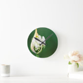 ケープタウン、アガパンツス・プラエコックス、アフリカンリリー ラウンド壁時計 (ホーム)