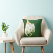 ケープタウン，アフリカンリリー，アガパンサスプラエコクス クッション (椅子)