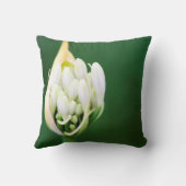 ケープタウン，アフリカンリリー，アガパンサスプラエコクス クッション (裏面)