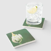 ケープタウン，アフリカンリリー，アガパンサスプラエコクス ストーンコースター (横)