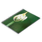 ケープタウン，アフリカンリリー，アガパンサスプラエコクス ノートブック (左側)