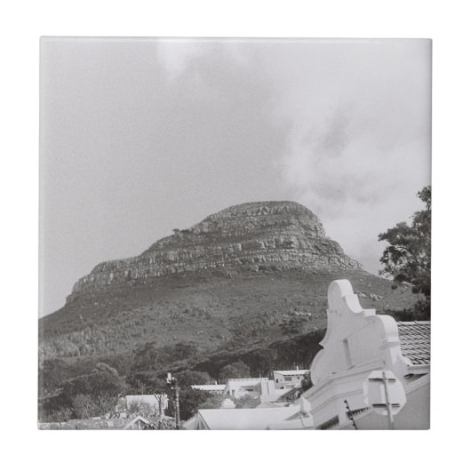 ケープタウンZA南アフリカ獅子頭 タイル (正面)