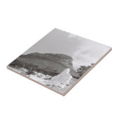 ケープタウンZA南アフリカ獅子頭 タイル (側面)