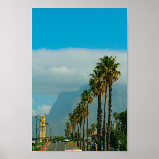 ケープタウンZA南アフリカ運河ウォークエリア ポスター (正面)