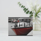 ケープディスカバリー ポストカード (スタンド正面)