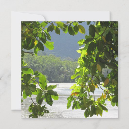 ケープトリビュレーションフラットカード カード (正面)