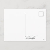 ケープトリブラーションの大木の熱帯雨林 シーズンポストカード (裏面)