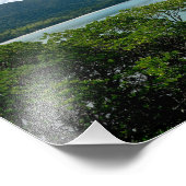 ケープトリブラーションの大木の熱帯雨林 フォトプリント            (角)