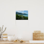 ケープトリブラーションの大木の熱帯雨林 ポスター (キッチン)