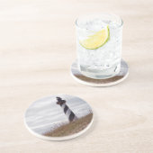 ケープハッタラスライトハウス コースター (側面)