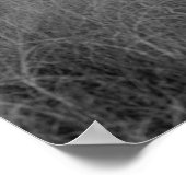 ケープハッタラスライトハウス ポスター (角)