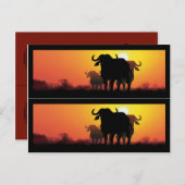 ケープバッファロー ブックマーカー ポストカード (正面/裏面)