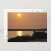 ケープフィーリバー ポストカード (正面/裏面)