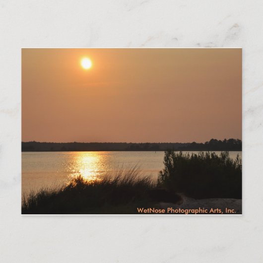 ケープフィーリバー ポストカード (正面)