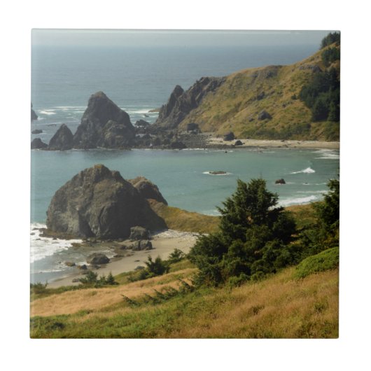 ケープフェレロ,ビスタ,海,シースタック,入り江 タイル (正面)