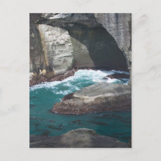 ケープフラットティワシントン州 ポストカード