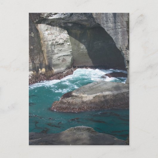 ケープフラットティワシントン州 ポストカード (正面)