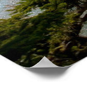 ケープフラットティーインレットワシントンプリント ポスター (角)