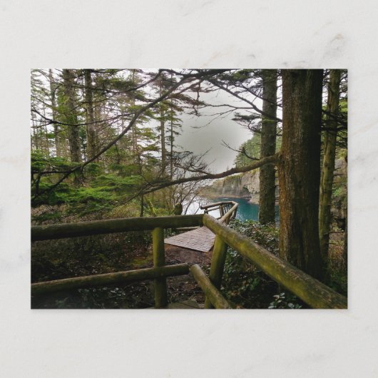 ケープフラットティートレイルオリンピックペニンシュラ ポストカード (正面)