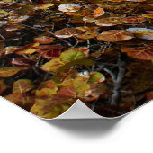 ケープフロリダライトハウス ポスター (角)