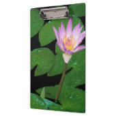 ケープブルーウォーターリリー（ニンファエア·カペンシス） クリップボード (左)