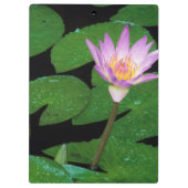 ケープブルーウォーターリリー（ニンファエア·カペンシス） クリップボード (裏面)
