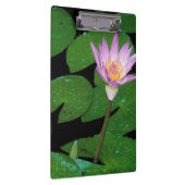 ケープブルーウォーターリリー（ニンファエア·カペンシス） クリップボード (右)