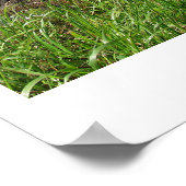 ケープマイレス州景勝地 ポスター (角)