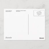 ケープメイライトハウスポストカード ポストカード (裏面)