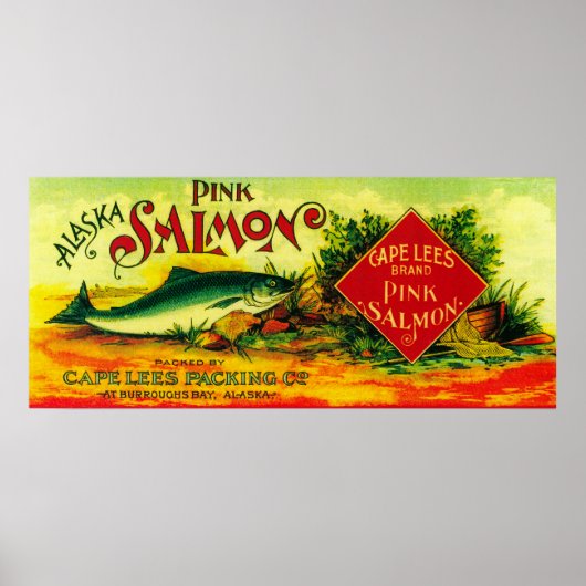 ケープレーサーモン缶ラベルBurrowsベイ， AK ポスター (正面)