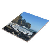 ケープ失望ライトハウス(ワシントン) タイル (側面)