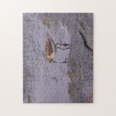 ケープ・ネディックリトルサンドパイパー ジグソーパズル (縦)