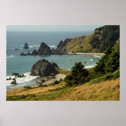 ケープ・フェレロ、展望、オーシャン、シー・スタックス、コーブ ポスター (正面)