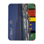 ケーペタウン近郊のセントジェームズベイ浴場 マグネット (縦)