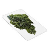 ケールフォトマグネット マグネット (右側)