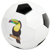 ケール州のツウカンの鳥の漫画イラストレーション サッカーボール (3/4)